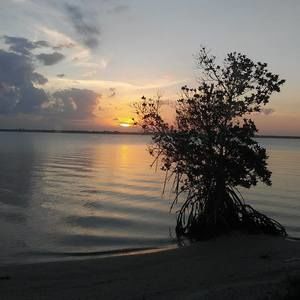 Meet your Posher, Coleen